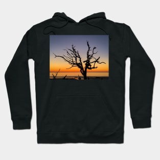 Colorful Driftwood Beach Hoodie